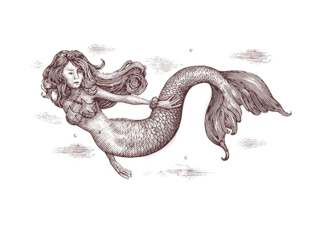 Mermaid art